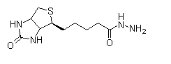 Biotin hydrazide  66640-86-6