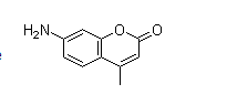 Coumarin 120  26093-31-2