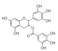 (-)-Epigallocatechin gallate 989-51-5
