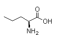 Norvaline 6600-40-4