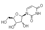 Uridine 58-96-8