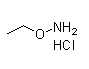Ethoxyamine hydrochloride 3332-29-4