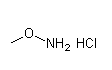 Methoxyammonium chloride 593-56-6