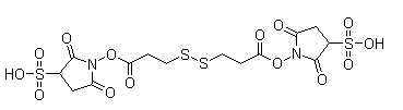 3,3'-Dithiobis(sulfosuccinimidylpropionate) 81069-02-5