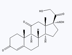 cortisone 53-06-5